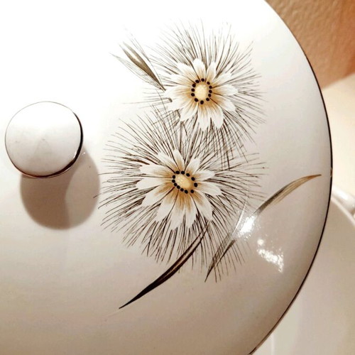 Keramikos vintage serving set with daisy design new