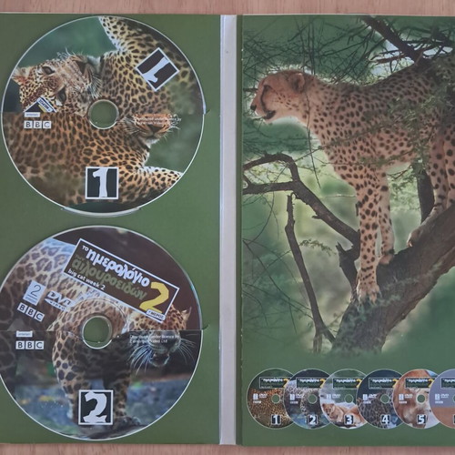 DVD The Big Cat Diary Part 2 like new