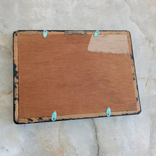 Butterfly frame used vintage with dried trogonoptera brookiana specimen