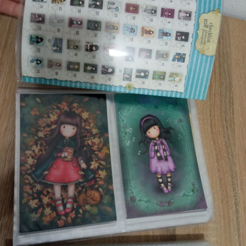 Santoro albums with Panini cards used, 2 pieces