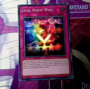 Level resist wall(super rare)