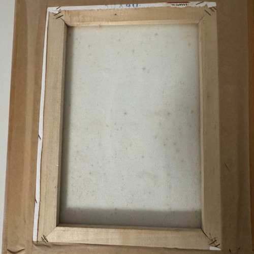 Canvas painting new with earthy materials and wooden frame