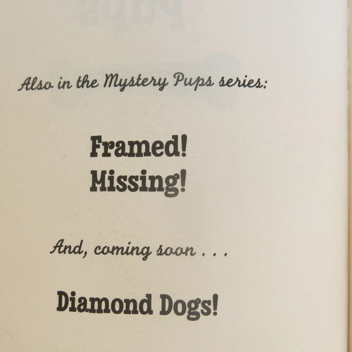 Mystery Pups - Dognapped! book used, in English