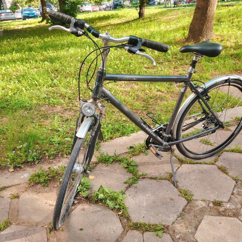 Ecorider 28" city bicycle, silver, Shimano gears, front suspension