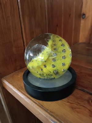 Mihai Topescu decorative paperweight new