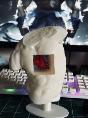 3D Printed Anatomical Sculpture "Heart in Body" new, artistic decor