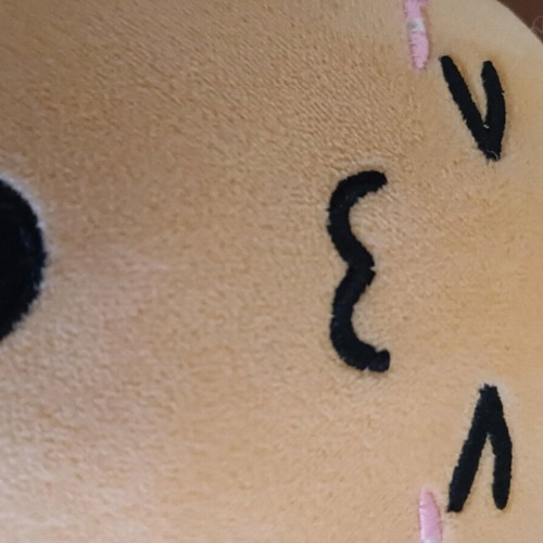Boba Tea pillow from Shein like new with silicone clip