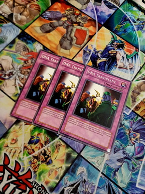 Playset 3x DNA Transplant Yu-Gi-Oh! cards IOC/Unlimited