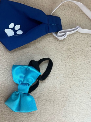 Γραβάτες για αρσενικό σκυλάκι σαν καινούργιες, 2 κομμάτια