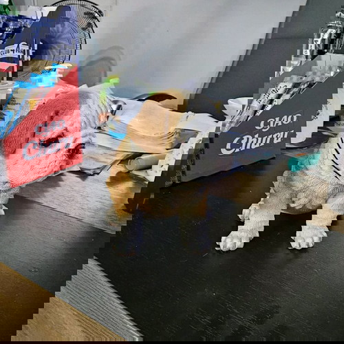 Διακοσμητικό ομοίωμα σκύλου από ρητίνη