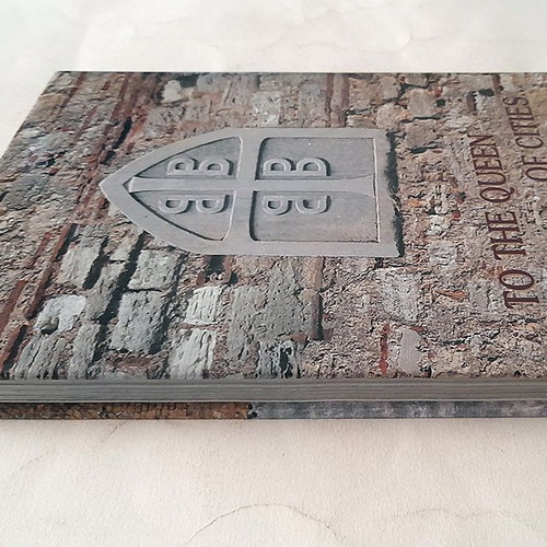 Eis Tin Polin hardcover art book used