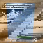  Calamitous Snowy Mountain paldea evolved 174/193