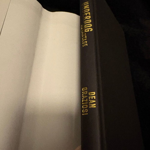 The Underdog Advantage hardcover book by Dean Graziosi