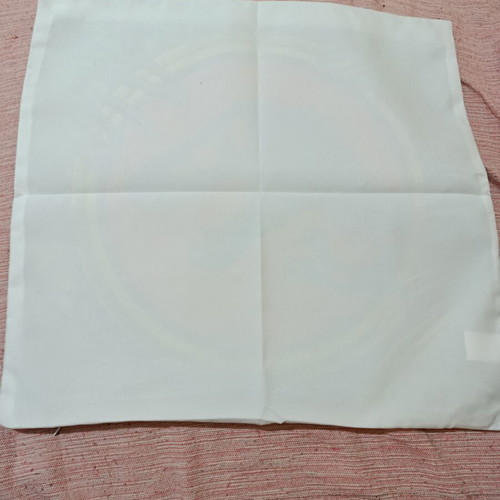 Jurassic Park pillowcase new polyester with zipper