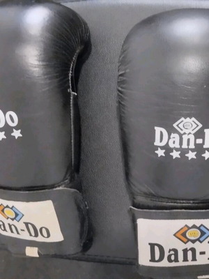 Martial arts gloves used, Dan do, size 12, very good condition