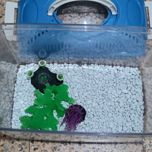 Aquarium like new with gravel and decorations 31×19×20 cm
