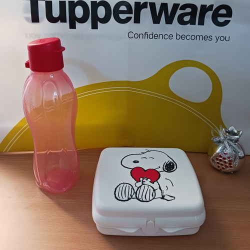 Snoopy Bottle 500ml and Food Container Set New, Tupperware