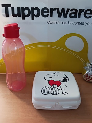 Snoopy Bottle 500ml and Food Container Set New, Tupperware
