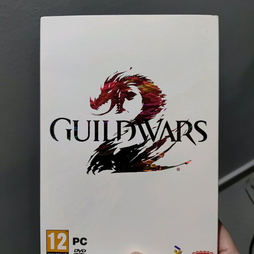 Guild Wars 2 complete like new for PC