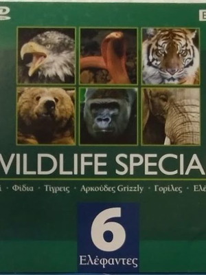 Elephants DVD No 6 Wildlife Specials dubbed new