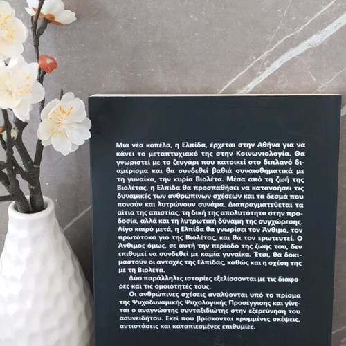 The Bride Who Did Not Laugh novel like new