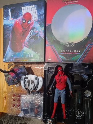 Hot Toys Spiderman Homemade Suit figure