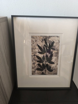 Artwork with signature and beautiful frame like new