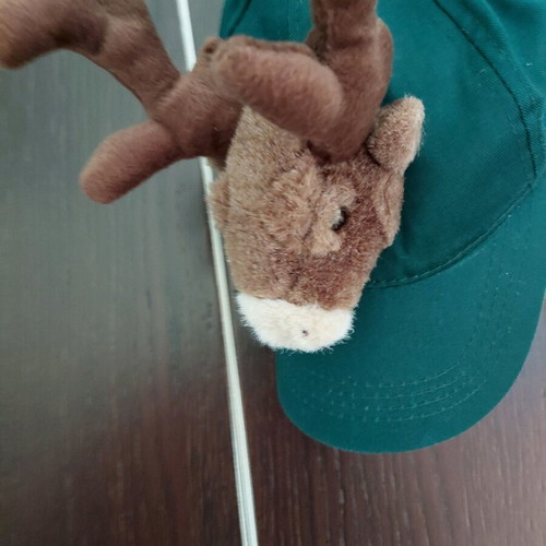 Christmas hat with reindeer