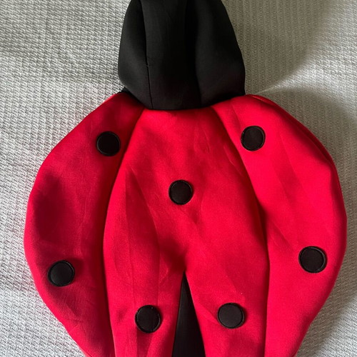 Ladybug costume Zara like new, scuba fabric, size 3-4