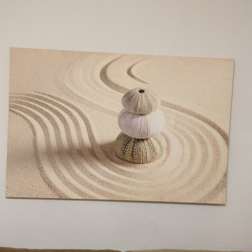 Πίνακας σε καμβά Zen Garden & Αχινοί σαν καινούργιος, μινιμαλιστική διακόσμηση
