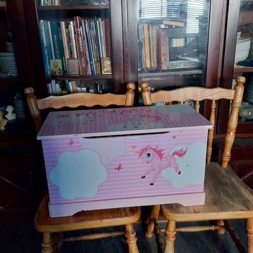 Wooden unicorn toy box with defect
