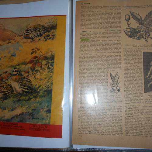 Forestry archive used with 40 lithograph clippings and articles from 1950s