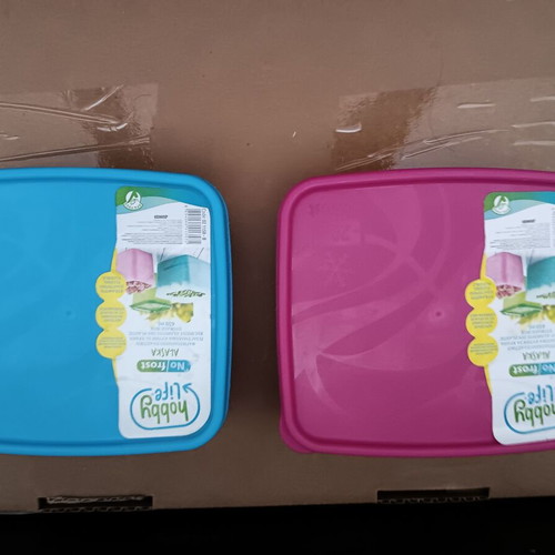 Set of 2 plastic tupper containers for toast like new