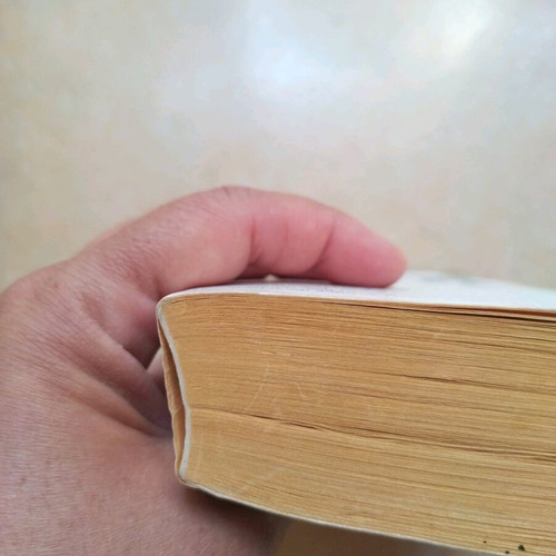 Homecoming by Catrin Collier used English book