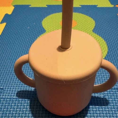 Mamas and papas silicone training cup with 2 lids and brush new