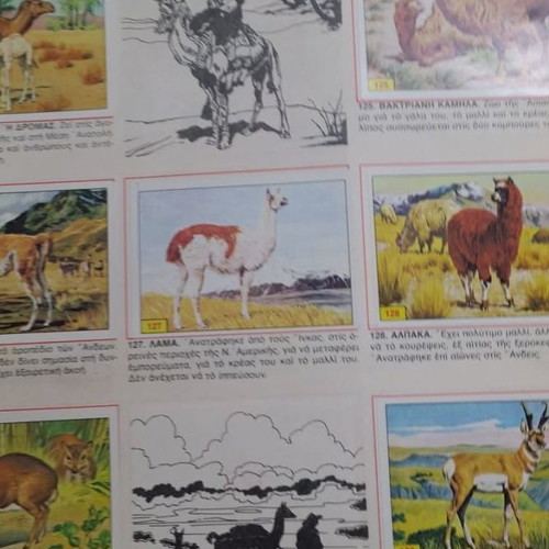 Mammals collectible album used Panini 1979 with stickers