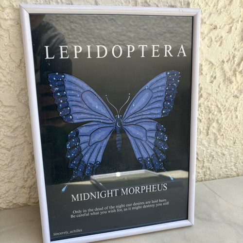 Butterfly art prints used, framed 30x20cm with poetic texts