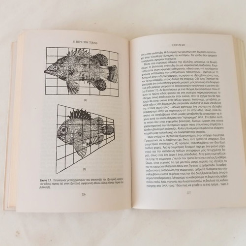 Book Είναι ο Θεός γεωμέτρης; by Ian Stewart and Martin Golubitsky like new