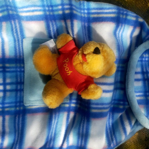 Blue bag Winnie the Pooh used