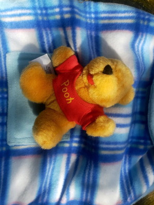 Blue bag Winnie the Pooh used