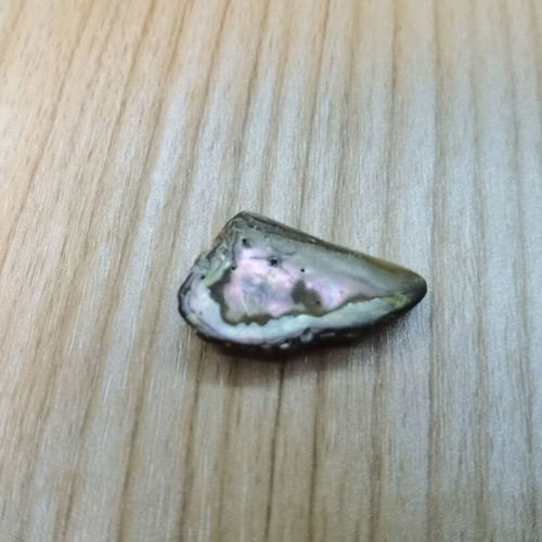 Natural Abalone shell cabochon for jewelry