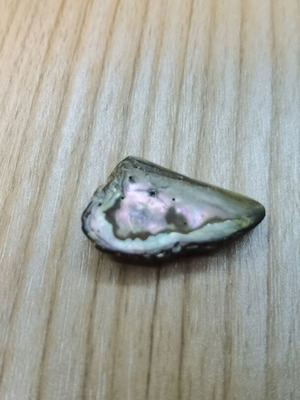 Natural Abalone shell cabochon for jewelry