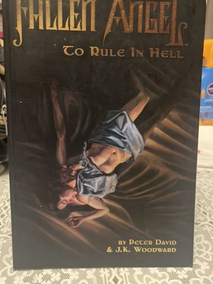 Fallen Angel To Rule in Hell Volume 2 used comic book