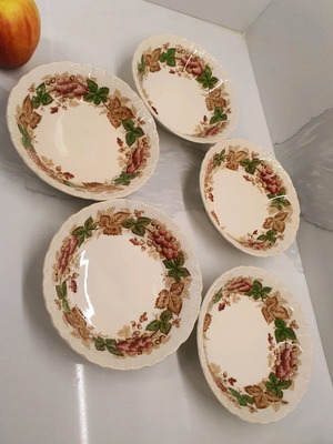 Wildbriar Wedgwood dessert plates like new, set of 5