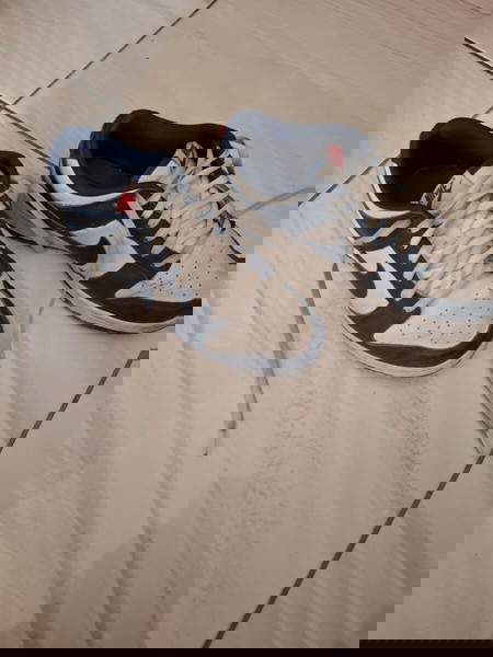 Nike dunk