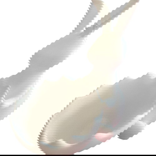 Easter Bunny Bowl for Painting made to order