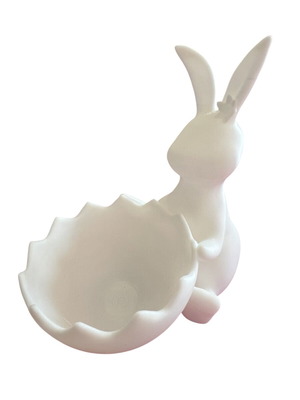 Easter Bunny Bowl for Painting made to order