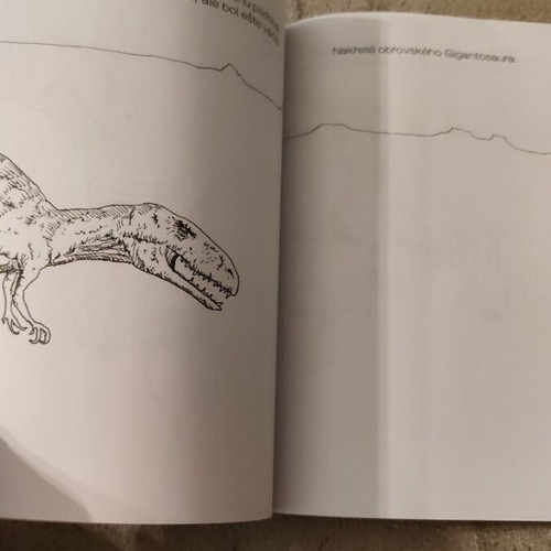 Dinosaurie Carbance Children's Book New from Slovakia with Doodles