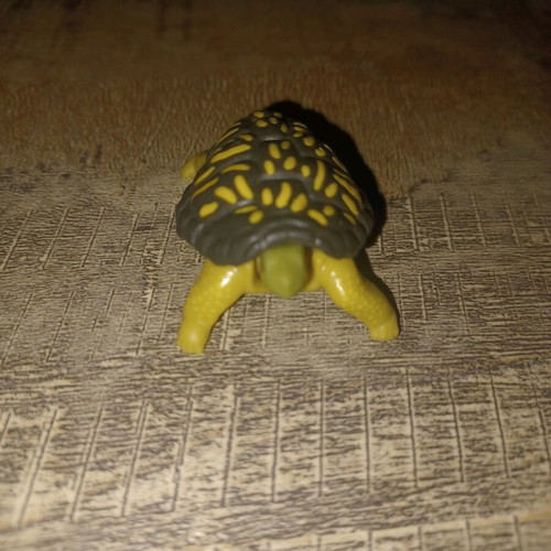 Kinder turtle like new