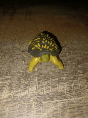 Kinder turtle like new